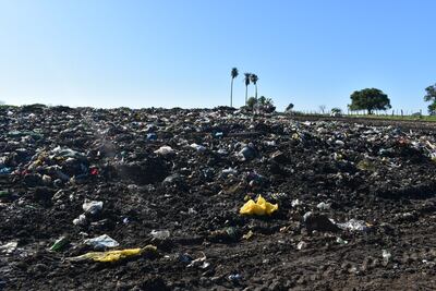 El vertedero municipal de Ayolas genera múltiples quejas debido a la insalubridad.