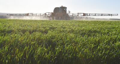 El horario de aplicación de productos defensivos es otro punto a tener muy en cuenta para los productores.
