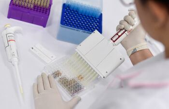 Un investigador científico analiza muestras de pacientes con COVID-19 en Belo Horizonte, Brasil.