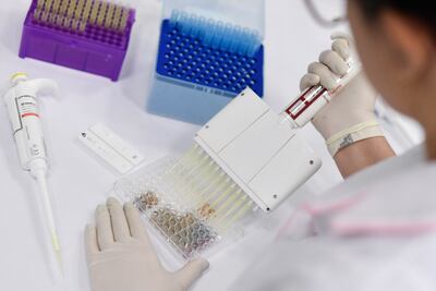 Un investigador científico analiza muestras de pacientes con COVID-19 en Belo Horizonte, Brasil.