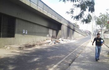Cierran viaducto de Gral. Santos y Eusebio Ayala por árbol caído.