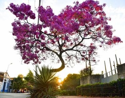 Una jornada agradable se espera para este martes. (Foto ilustrativa).