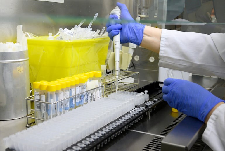 Científicos de todo el mundo siguen investigando el comportamiento del virus del covid-19.