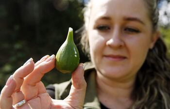 Maira Alejandra Alzate, fundadora de la agroempresa Toscana Fresh, quien fue reconocida como Mujer Emprendedora Rural de Colombia, hablando durante una entrevista con EFE en el municipio de Marinilla, Antioquia (Colombia).