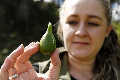 Maira Alejandra Alzate, fundadora de la agroempresa Toscana Fresh, quien fue reconocida como Mujer Emprendedora Rural de Colombia, hablando durante una entrevista con EFE en el municipio de Marinilla, Antioquia (Colombia).
