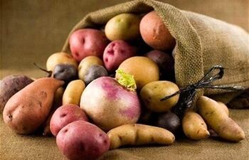 Los hidratos de carbono son compuestos orgánicos que se encuentran en los alimentos en forma de azúcares y almidones, constituyen la mayor fuente de energía en la alimentación. Estos son hidratos de carbono complejos: mandioca, papa, batata.