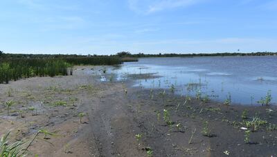 El  lago Ypacaraí registra desde finales del año pasado una histórica bajante de su caudal. Esto se   suma a la grave contaminación que sufre desde hace años.