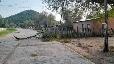 La fuerza del viento de anoche produjo el desprendimiento de ramas de árboles en Fuerte Olimpo.