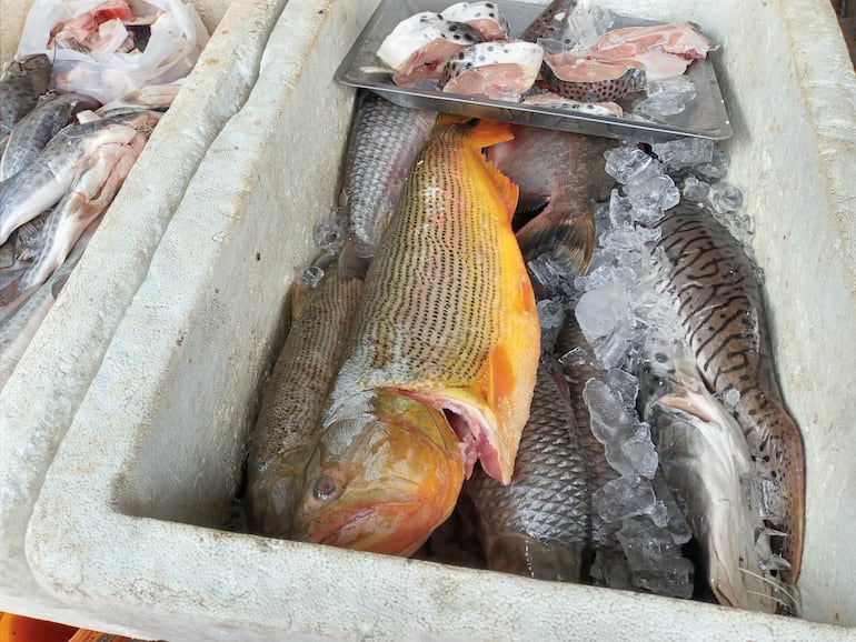 Vendedores tendrán dos semanas para comercializar el stock de pescado.