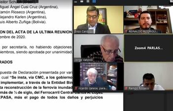 Reunión virtual de la Comisión de Infraestructura del Parlamento del Mercosur.