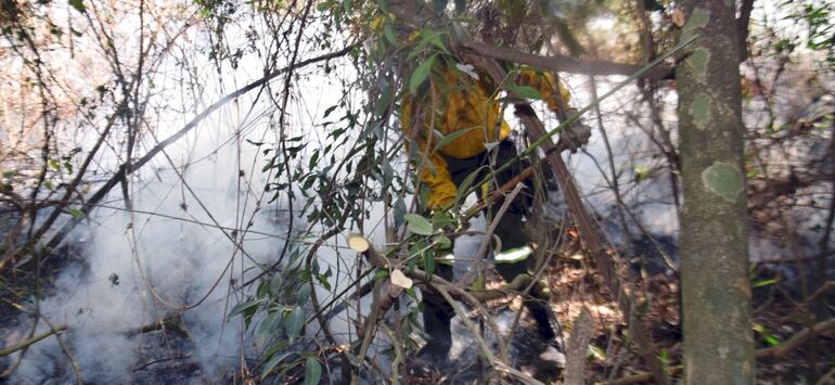 Bomberos voluntarios trabajan para combatir el fuego en el Parque Nacional de Caazapá.
