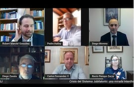 Foro virtual organizado por la Asociación de Abogados Laboralistas debatieron sobre la crisis en el sistema jubilatorio