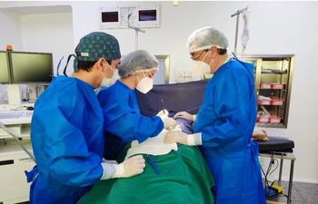 Maratón de Cirugías, Hospital Regional de Pedro Juan Caballero