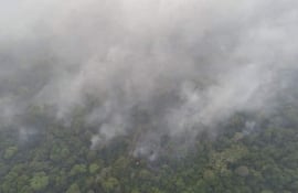 Hay cuatro focos de calor en la reserva natural Mbaracayú. (Imagen de referencia).