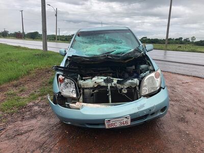 La conductora chocó contra una vaca que le salió al paso.