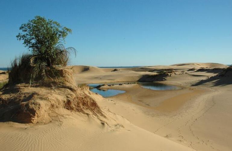 Fotografía de archivo de las dunas de San Cosme y Damián. 