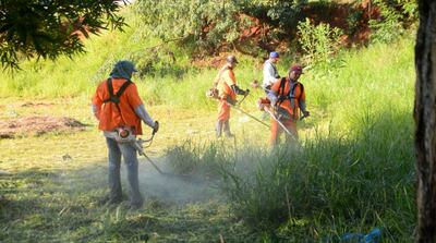 Una cuadrilla limpia un terreno cubierto de malezas en Ciudad del Este.