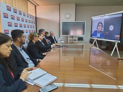 Reunión virtual entre autoridades de la ANDE y ejecutivos del BID.