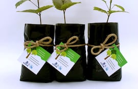 Laboratorio de Productos Éticos reivindica su pacto con la sociedad y el medio ambiente.