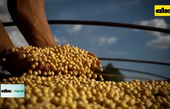 ABC RURAL: Famato Embrapa Show de Tecnología