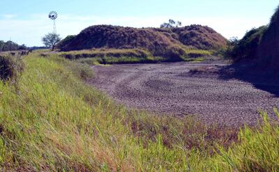 Un tajamar totalmente seco dentro de un establecimiento ubicado en el distrito de Filadelfia, uno de los más golpeados por la falta de lluvias.