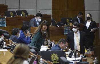 La Cámara de Diputados aceptó las modificaciones del Senado y sancionó la ley del Veterinario.