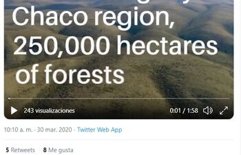 El tuit de la FMO que incluye un video con imágenes que no serían del Chaco paraguayo.