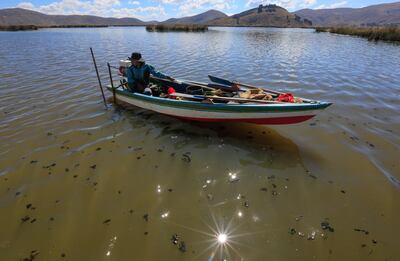 Un pescador rodeado de aguas contaminadas con algas en la bahía de Cohana el 22 de julio de 2019 en el lago Titicaca (Bolivia). El lago más grande a mayor altura en el mundo guarda en sus aguas leyendas que se remontan al imperio inca, pero también un enemigo silencioso: la contaminación, que avanza al extremo de convertir las aguas azules en oscuras y pestilentes en algunas zonas del Titicaca.