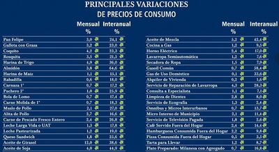La inflación interanual de mayo fue de 11,4%, pero al observar cada segmento y cada producto, encontramos alzas de hasta 64,6%.