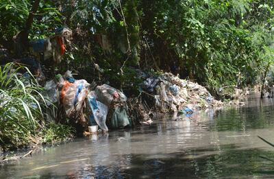 Varias familias deben convivir con la basura que les llega a través del arroyo.
