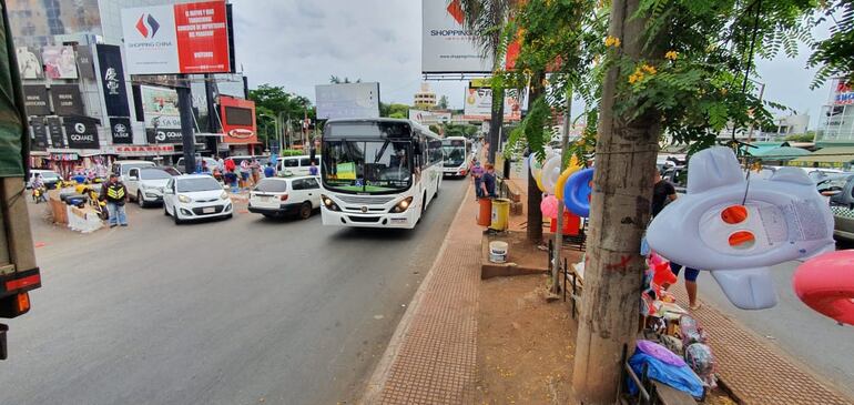 La ruta PY02 fue despejada por los paseros.