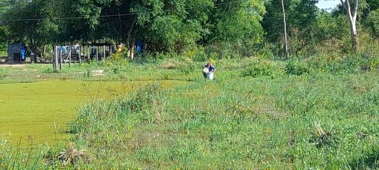 Un poblador de la comunidad de Maria Auxiliadora, recoge agua del tajamar para su uso.