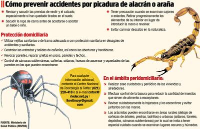 Salud Pública sin antídotos en plena temporada de arañas y alacranes