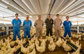 Las inversiones realizadas en las granjas avícolas superan los US$ 2.000.000, mientras que en la industria llegan a US$ 2.500.000.