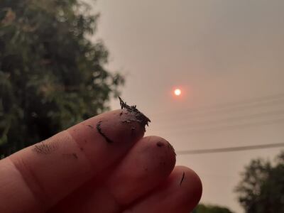 Humo y cenizas cubrieron varios barrios de Asunción.