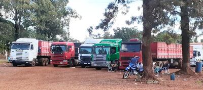 Más de 1.000 camiones  al año llegan a Frutika trayendo  cítricos de diversos puntos del país. La empresa paga a unos 3.000 productores aproximadamente G. 15.000 millones al año.