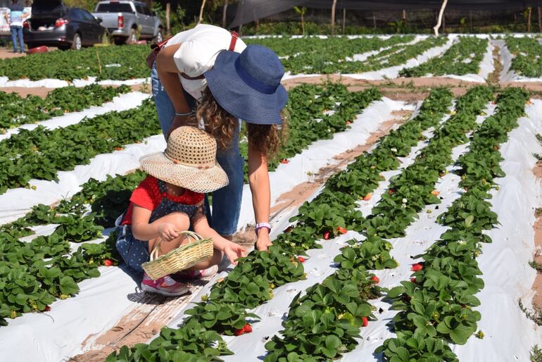 /pf/resources/images/abc-placeholder.png?d=2393