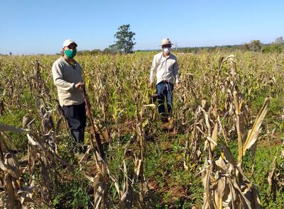 El pequeño productor Francisco Silva con el Ing. Agrop. Claudio Fleitas, del Inbio, en Coronel Bogado.