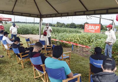 El ingeniero Julio Ferrarotti, director de investigación y desarrollo, explica sobre el lanzamiento de variedades de soja.