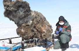 Los restos momificados de un bebé mamut lanudo prácticamente completo, con la piel y el pelo intactos, fueron hallados en unas minas auríferas en el norte de Canadá, en uno de los grandes descubrimientos de estos animales de la era del hielo.