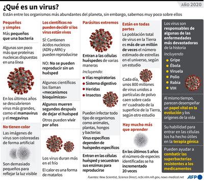 ¿QUÉ ES UN VIRUS?