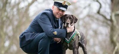 Hertz, un braco alemán de pelo corto de 10 años, fue premiado el martes por la PDSA, una organización de defensa de los animales, por ayudar a proteger a las tropas británicas y de la coalición en Afganistán en 2013.