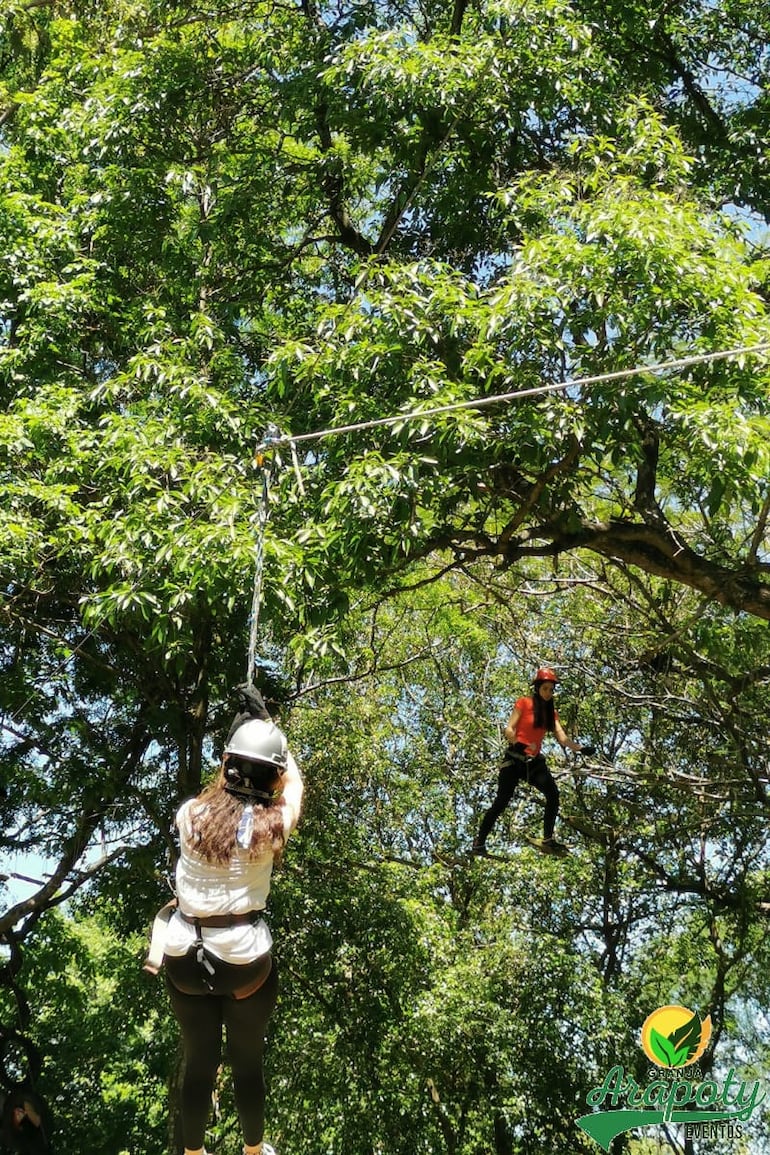 Una de las actividades favoritas es la tirolesa.