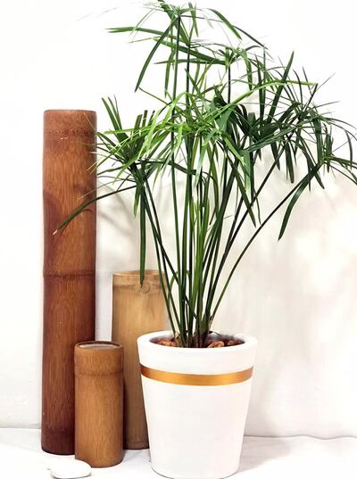 Los pedidos pueden realizarse a través del instagram @cerezopy_home.