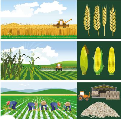 Cultivo de productos sustentables