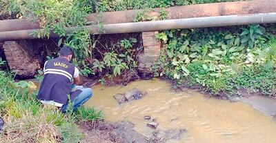 Los fiscalizadores tomaron muestra del cauce para determinar si efectivamente hay contaminación causada por la fábrica.