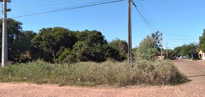 Baldíos saturados en diferentes barrios de Carapeguá preocupa a los frentistas.