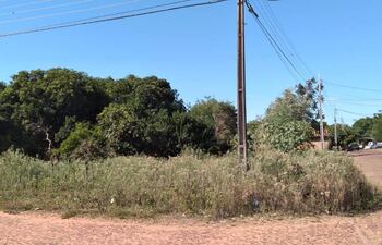 Baldíos saturados en diferentes barrios de Carapeguá preocupa a los frentistas.