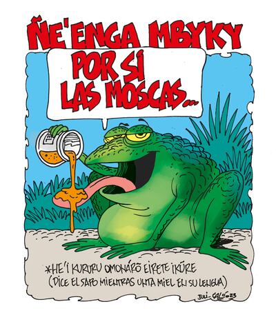 ÑE'ÊNGA MBYKY