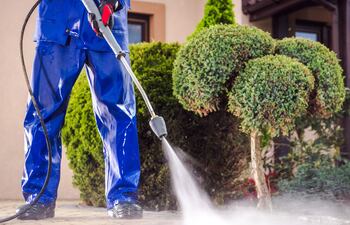 Hogar & jardín: tareas de todo el año